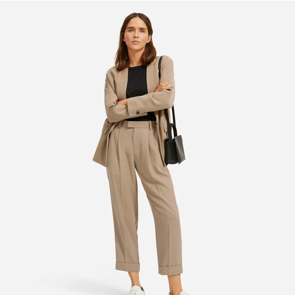 Everlane Put-Together Pleat Pant Clay 0